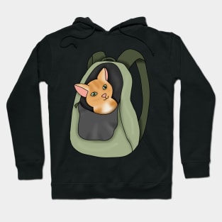 Kitty in a backpack (fluffy orange cat) Hoodie